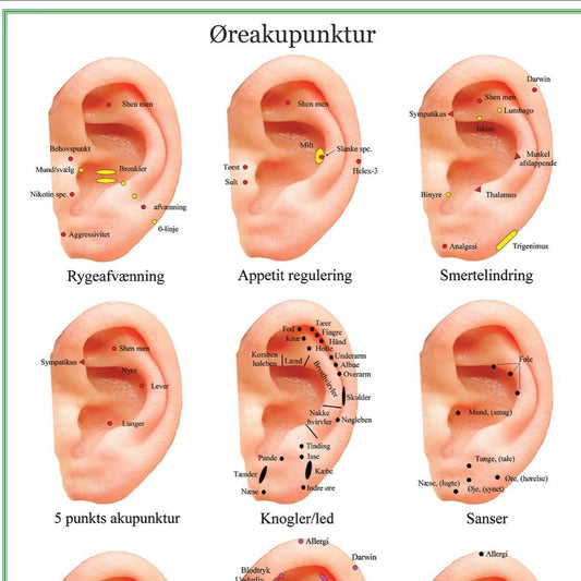 Planche Øreakupunktur / akupressur
